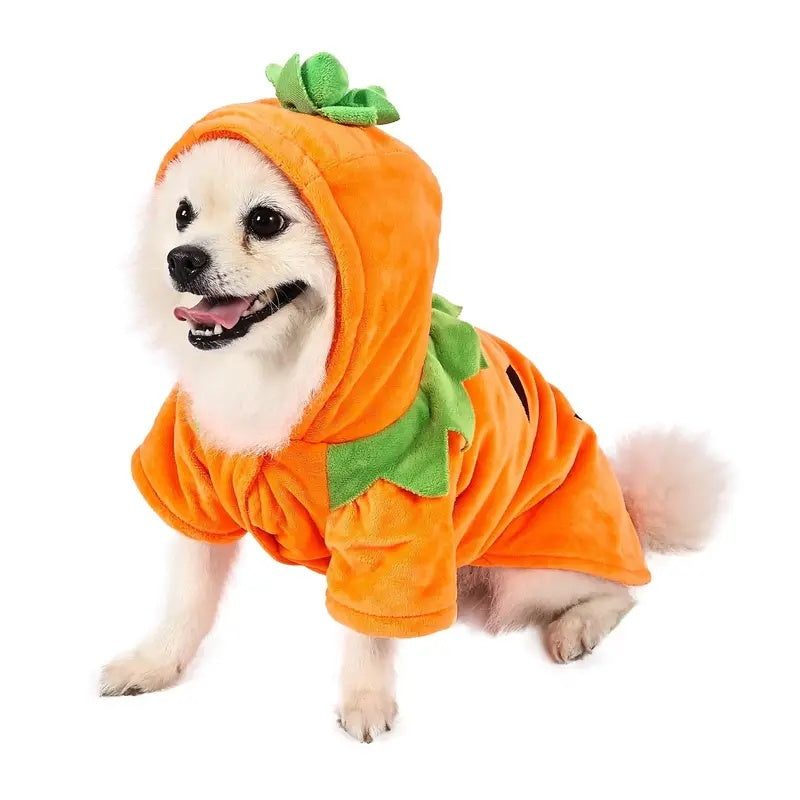 Pumpkin Pet - Fantasia de abóbora para Pet