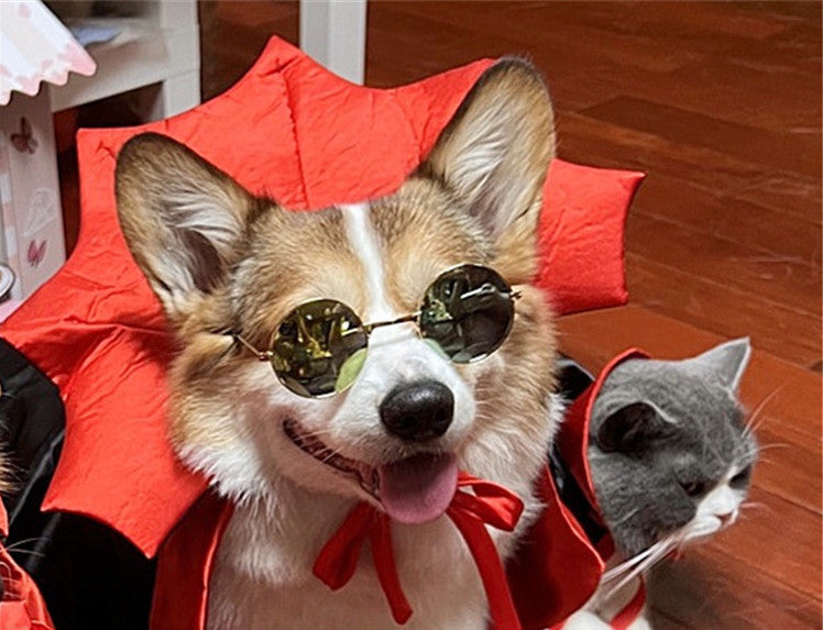 Fantasia Pet Rei Vampiro - Gato ou Cachorro