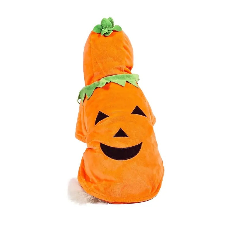Pumpkin Pet - Fantasia de abóbora para Pet