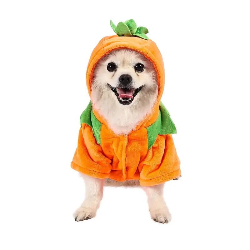 Pumpkin Pet - Fantasia de abóbora para Pet