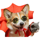 Fantasia Pet Rei Vampiro para Gato ou Cachorro