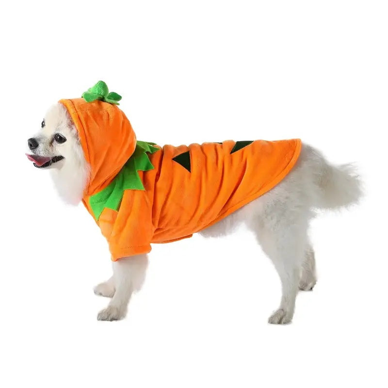 Pumpkin Pet - Fantasia de abóbora para Pet